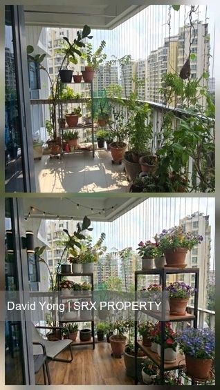 Belysa (D18), Condominium #556154441